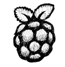raspberry-pi